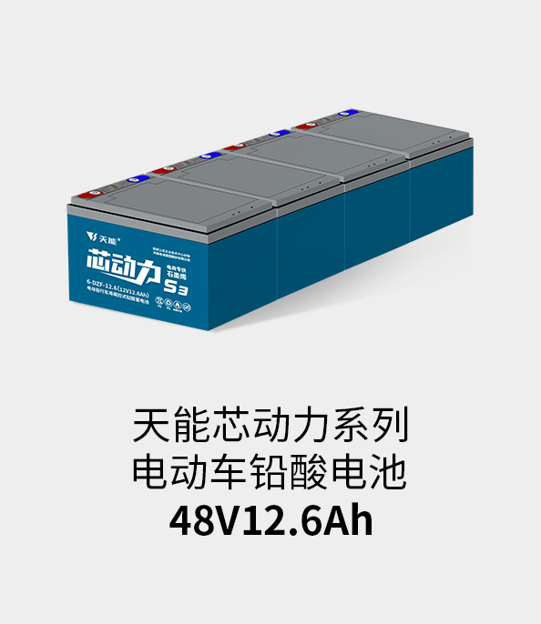 球信网电池48v12ah