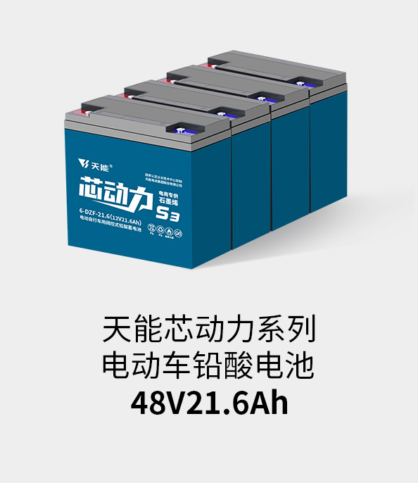 球信网电池48v20ah