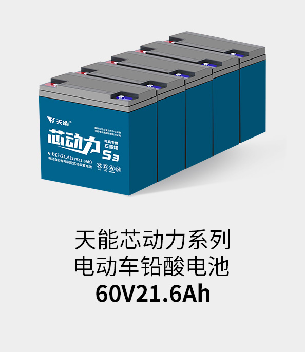 球信网电池60v20ah