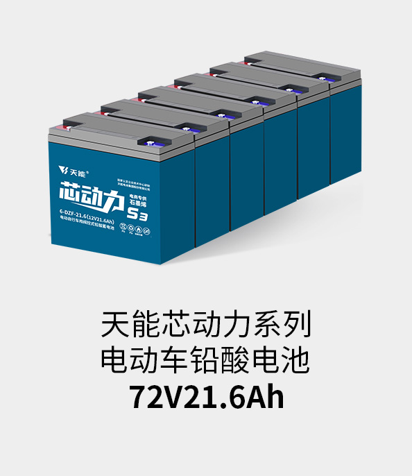 球信网电池72v20ah