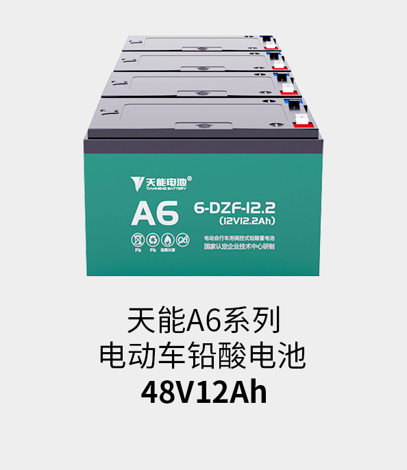 球信网电池48v12ah