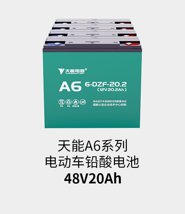 球信网电池48v20ah