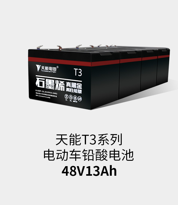 球信网T3系列48v13ah