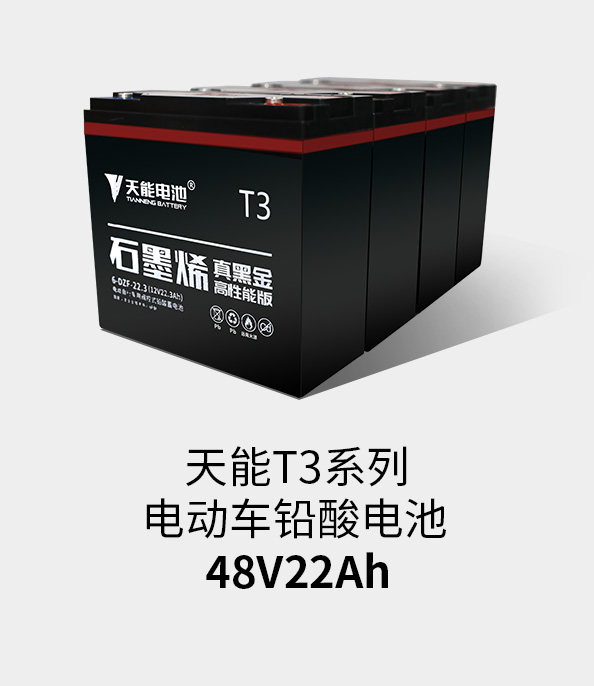 球信网T3系列48v22ah