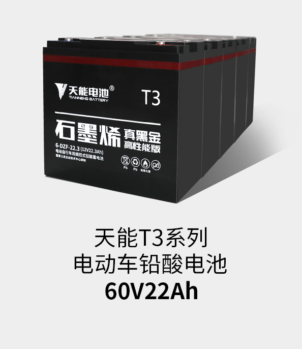 球信网T3系列60v22ah