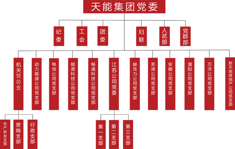 球信网建团党委组织架构